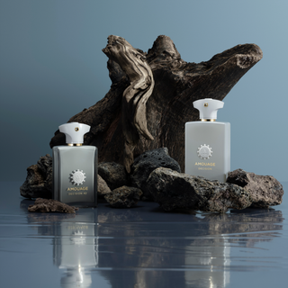 Amouage Decision 42 Mood