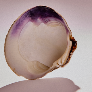 D.S. & Durga Rose Atlantic – Moodbild